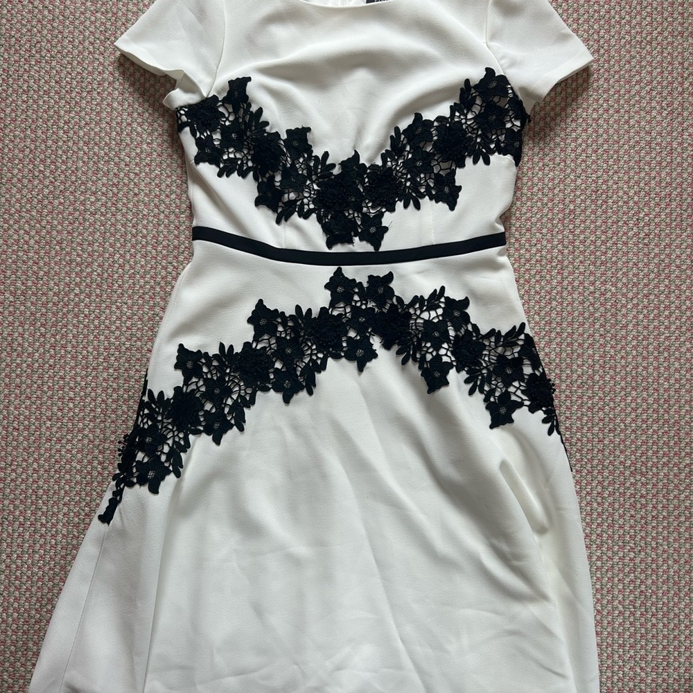 ADRIANNA PAPELL Black and White Dress with lace; amazing worn quality, size 6